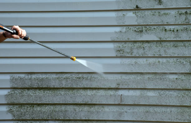 Best Roof Pressure Washing  in Redwood, TX